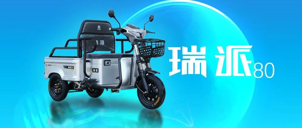 实力派淮海瑞派80